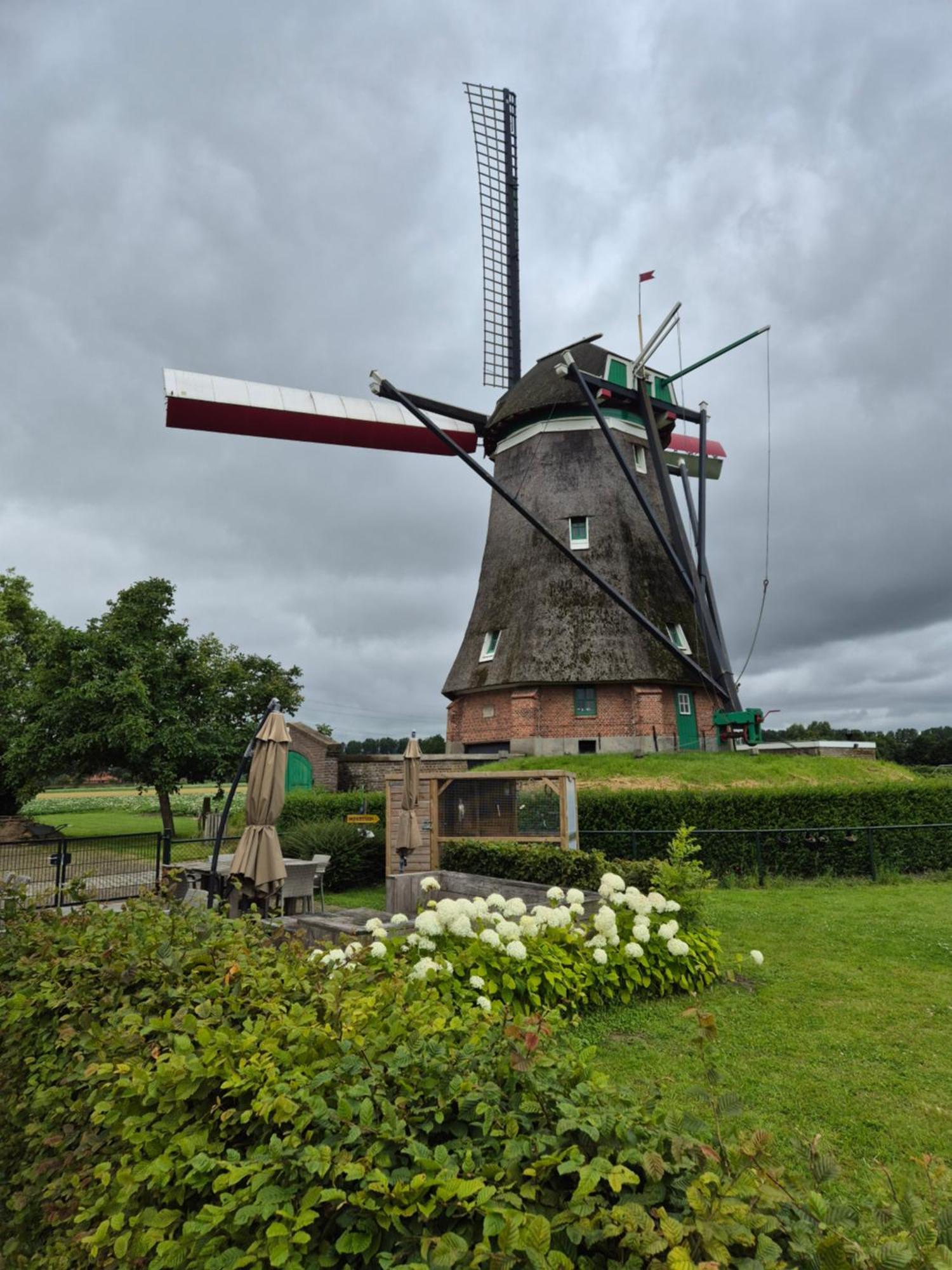 Landelijk Slapen Bij Molen In 4c